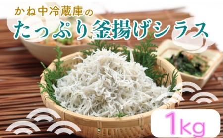 しらす たっぷり 釜揚げシラス 1kg 天然 国産 駿河湾 干物 送料無料 しらす干し 1kg