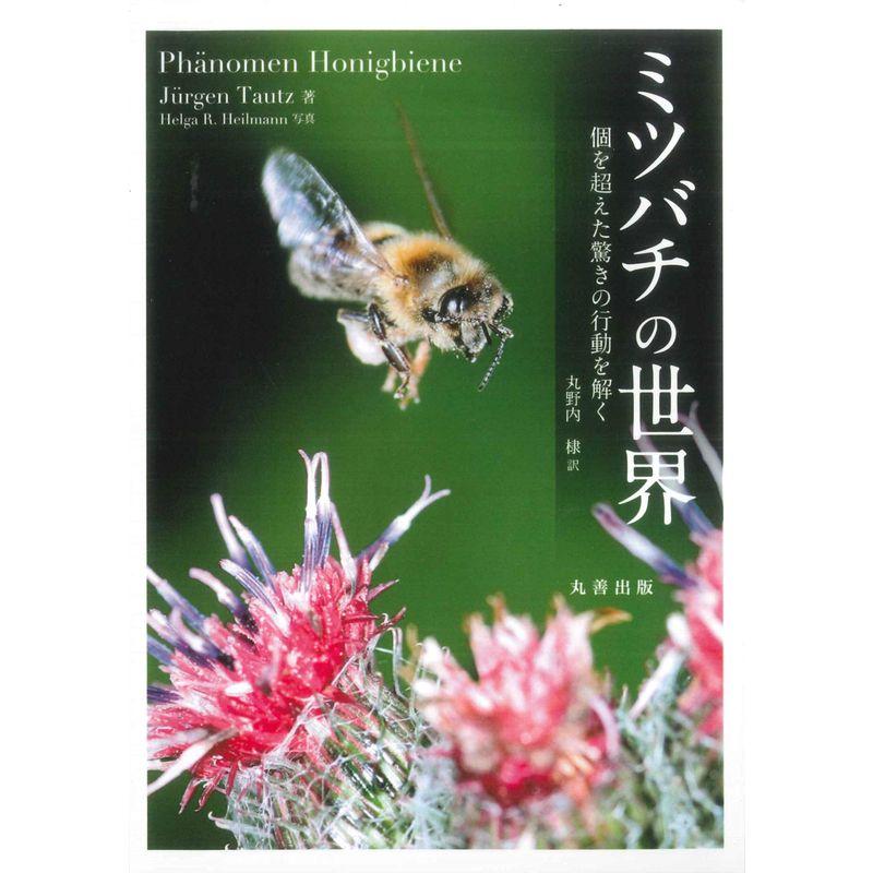 ミツバチの世界: 個を超えた驚きの行動を解く