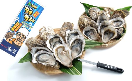 北の海のミルク！ 厚岸産 牡蠣 3Lサイズが50個！ 生食用