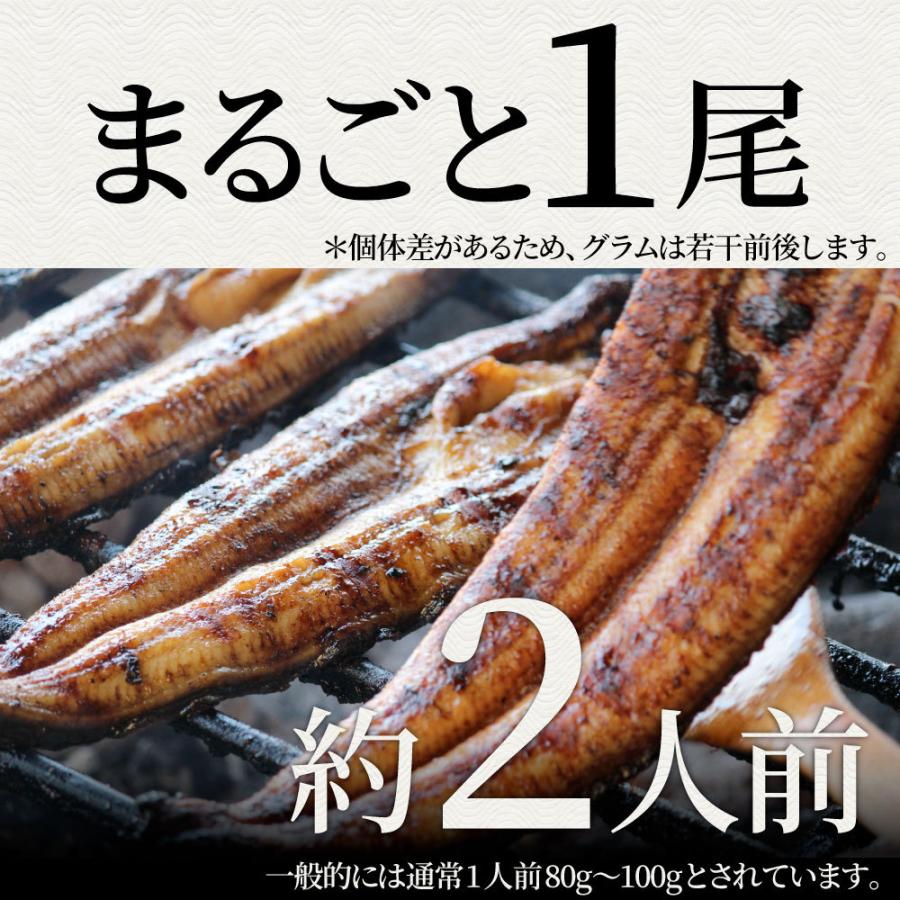 うなぎ蒲焼 1本入り（約200ｇ）たれ・山椒付き 鰻 かば焼き 土用 丑の日 湯煎 レンジOK 簡単解凍するだけ 惣菜 冷凍当日発送