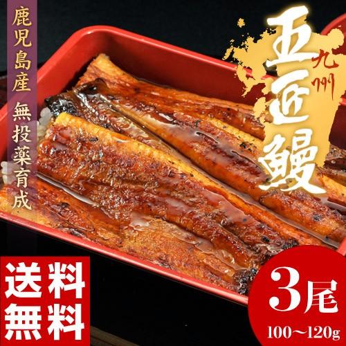 うなぎ蒲焼き「五匠鰻」鹿児島県産 山田水産  3尾 (1尾：100〜120g) ※冷凍　送料無料