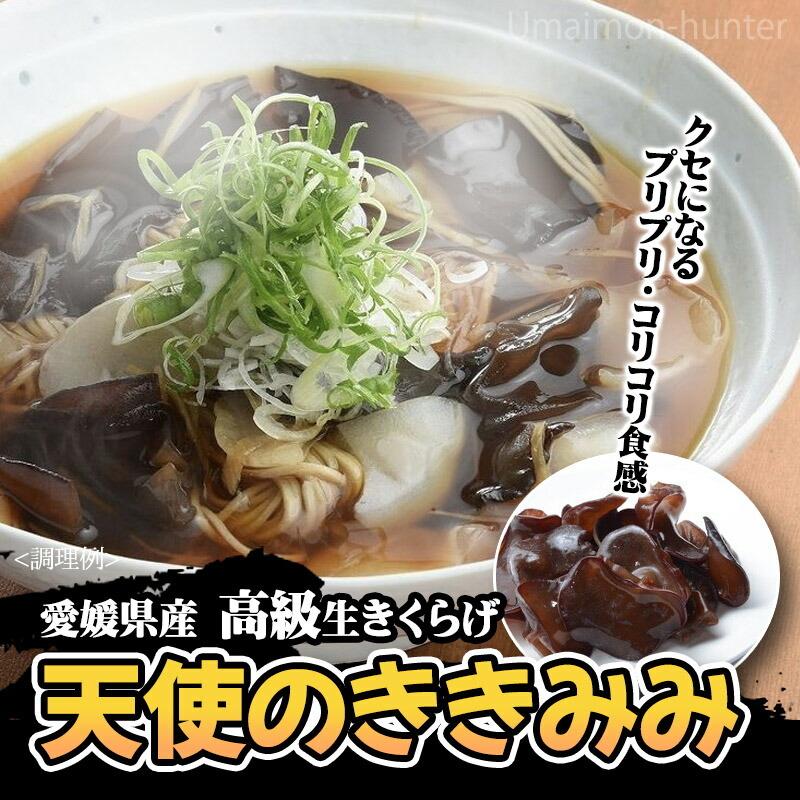 愛媛県産 高級生きくらげ 天使のききみみ 黒 300g×1P 愛媛 土産 純国産・農薬不使用 食材