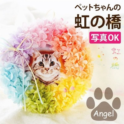 お供え 花 ペット 虹の橋 トゥインクル プリザーブド フラワー お悔やみ お花 アレンジ ギフト カード 贈り物 宅配 配達 供花 仏花 犬 猫 命日 通販 Lineポイント最大get Lineショッピング