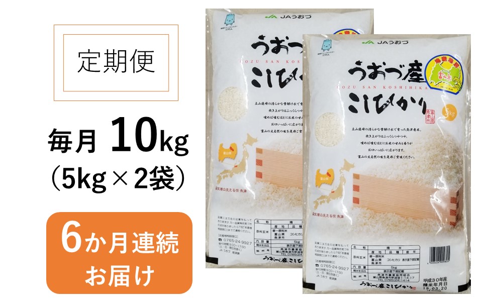 定期便 米 10kg (5kg×2袋) 6ヶ月 コシヒカリ 富山 魚津産 こめ コメ お米 おこめ 白米 精米 6回 お楽しみ