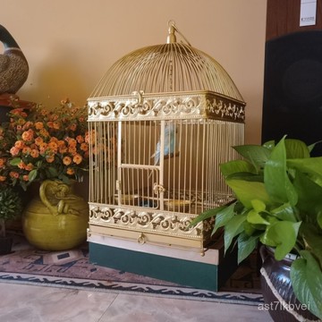 🔥鳥類專屬🔥大型鳥籠 鸚鵡鳥籠子 超級繁殖籠 鸚鵡豪華別墅 八哥專用鳥籠 白鐵鳥籠虎皮鸚鵡鳥小號小型觀賞籠子歐式鐵藝複古
