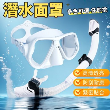 潛水鏡 潛水面鏡 浮潛面罩 面鏡 浮潛面鏡 潛水面罩 蛙鏡 浮潛面鏡組 潛水蛙鏡 浮潛呼吸管 浮潛裝備 乾式面鏡