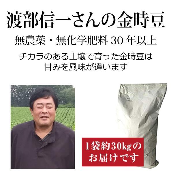 業務用 無農薬金時豆 渡部信一さんの金時豆約30kg（約30kg×1袋） 北海道産 無農薬栽培30年の美味しい金時豆 渡部さんは化学薬品とは無縁の生産者