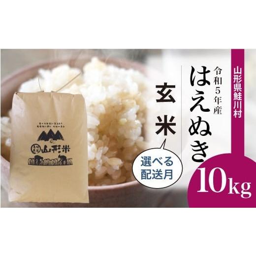 ＜令和5年産＞ 鮭川村産 はえぬき  10kg （10kg×1袋）