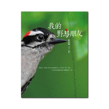我的野鳥朋友