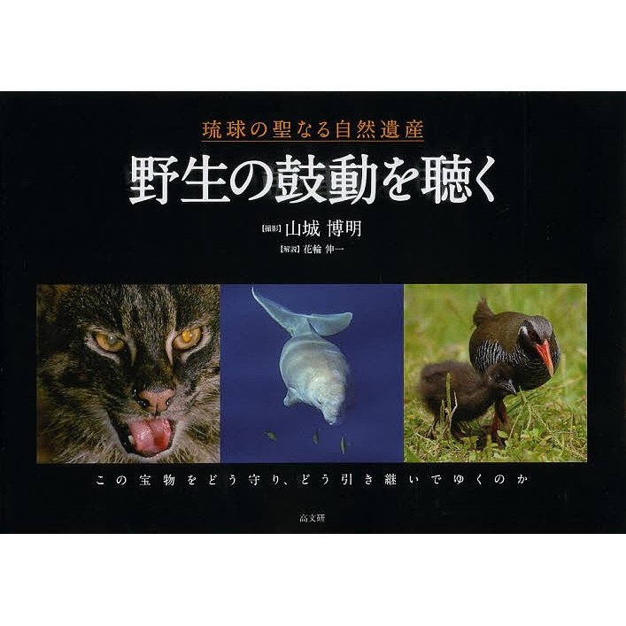 野生の鼓動を聴く 琉球の聖なる自然遺産 山城博明