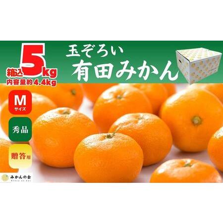 ふるさと納税 みかん Ｍサイズ 秀品 箱込 5kg (内容量約 4.4kg) 玉そろえたんじゃ 和歌山県産 有田みかん 贈答用  和歌山県有田川町