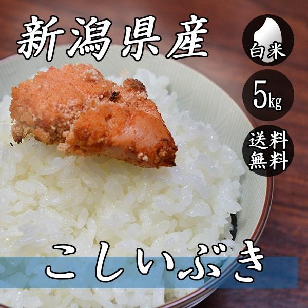 お米 5kg 新潟産 こしいぶき 5kg×1袋 送料無料 令和5年産 米 白米