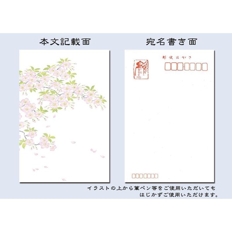 はがき 桜 春 和紙 葉書 和風 イラスト【花きらら FPS-714 桜(さくら