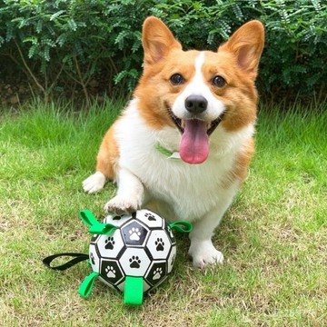 亞馬遜爆款狗狗玩具解悶耐咬足球柯基犬小中大型犬互動神器寵物球 WRPU