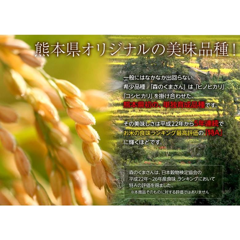 送料無料 熊本県産 森のくまさん 白米 10kg(5kg×2袋) 常温