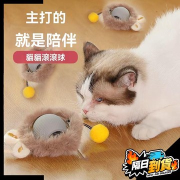 【現貨⚡ 隔日達】貓咪玩具 自動逗貓球 自嗨解悶智能逗貓球 寵物躲避突突球  逗貓玩具 狗玩具 電動逗貓球