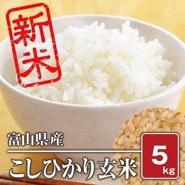 富山県産 こしひかり(令和4年) 5kg