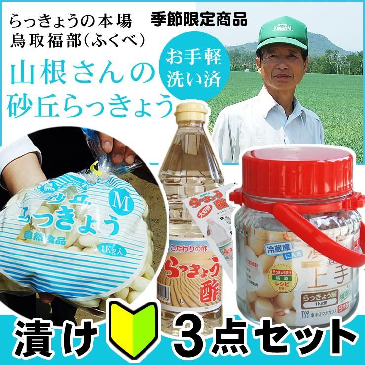 らっきょう ラッキョウ 送料無料　漬け初心者3点 らっきょう：酢：漬け瓶セット 本場福部産 山根さんの砂丘らっきょう 芽止め塩漬け 1kg Ｓ-Ｍサイズ 冷蔵