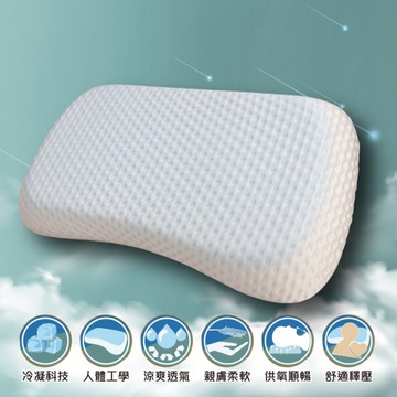 【Indian】人體工學涼感記憶枕(1顆)_TRP多利寶