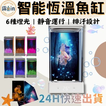 『桌上型懶人恆溫魚缸✨』恆溫魚缸 懶人魚缸 鬥魚缸 鬥魚桶 桌面魚缸 鬥魚盒 鬥魚 孔雀魚 辦公室魚缸 露in