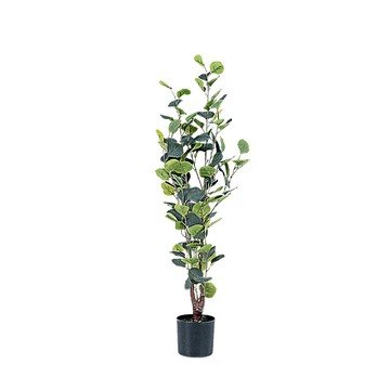 dayneeds 仿真草植-綠植栽系列/翠綠風華-圓葉尤加利