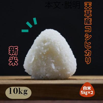 令和２年　熊本県天草産 コシヒカリ　精白米10kg(5kg×2袋)