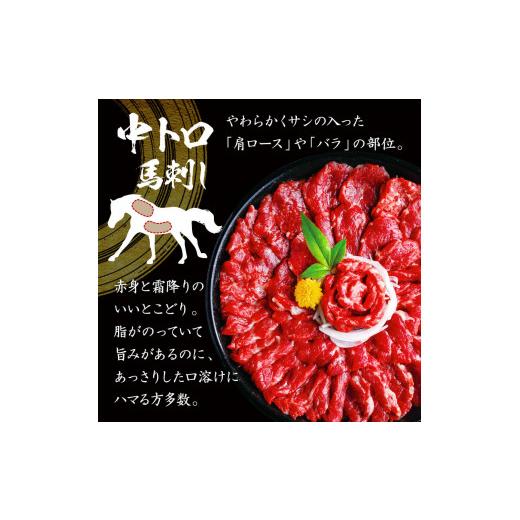 ふるさと納税 熊本県 玉名市 馬刺し 国産 サシが決め手の「トロ〜り馬刺しセット」 約500g