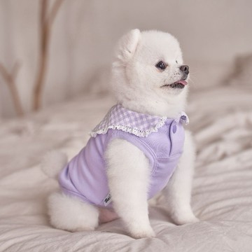 韓國品牌 【梨花娘總代理】🐾BAILEY 🐶秋冬新品 韓系溫小公主格子領蕾絲邊刺繡寵物服飾(3色)