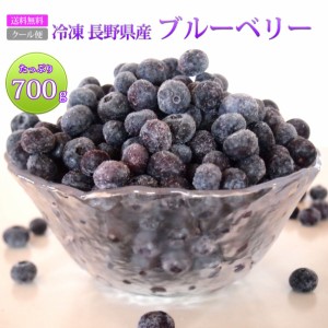 ブルーベリー 国産 長野県産 冷凍 フルーツ たっぷり 大容量 700g 送料無料 冷凍ブルーベリー 冷凍果実 果物 スムージー ブルーベリージ