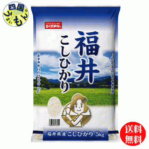 幸南食糧  福井県　こしひかり 白米  令和5年産 5kg 4袋（20kg)　