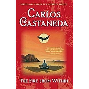 Fire from Within (Paperback  Original)