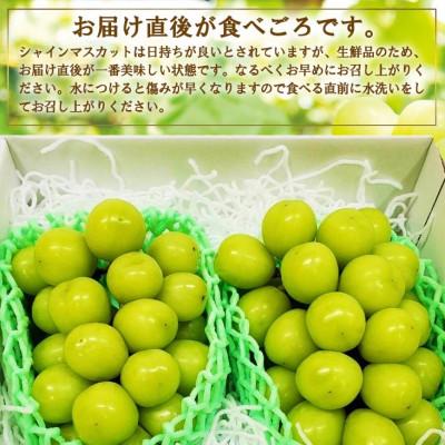 ふるさと納税 山梨市 厳選　池田青果のシャインマスカット2房　1kg ふるさと納税