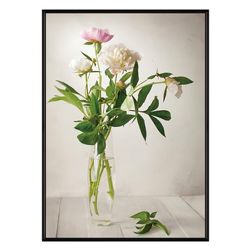 Boluo 菠蘿選畫所 花語 盛放牡丹 掛畫 40 x 30cm 居家裝飾藝術  黑色