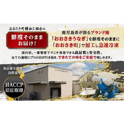 ふるさと納税 鹿児島県 大崎町 おおさきうなぎ鹿児島県産うなぎ長蒲焼2尾（全6回）合計12尾