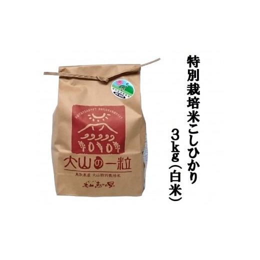 ふるさと納税 鳥取県 大山町 MS-10 減農薬・減化学肥料 特別栽培米こしひかり3kg