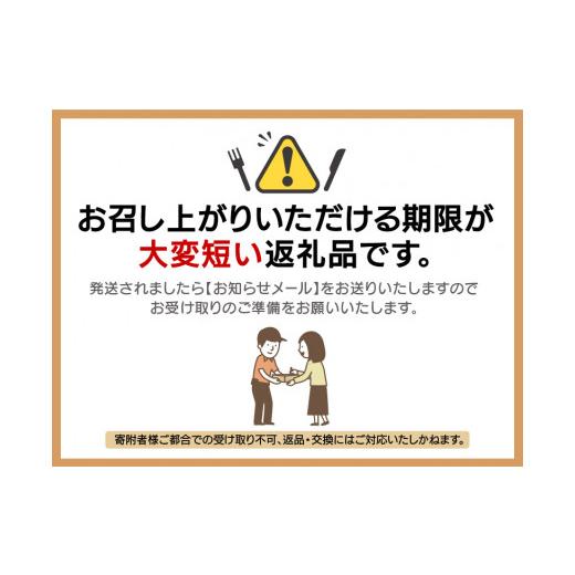 ふるさと納税 福井県 美浜町 [m17-a002] 若狭湾の素潜り 天然 活サザエ 合計約700g 約350g × 2パック(6〜10個)説明書付き【2023年6月9日から2024…