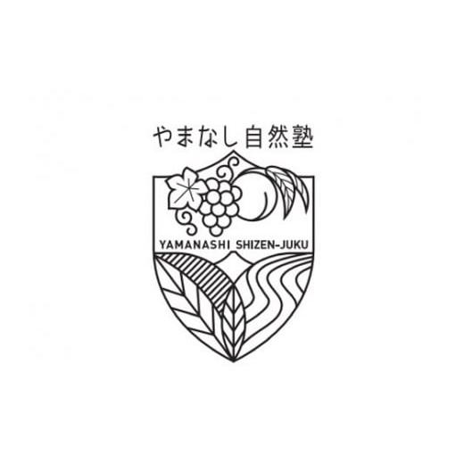 ふるさと納税 山梨県 甲斐市 『特別栽培』自然塾夏のシャインマスカット（約1.2kg）　[山梨 シャインマスカット]