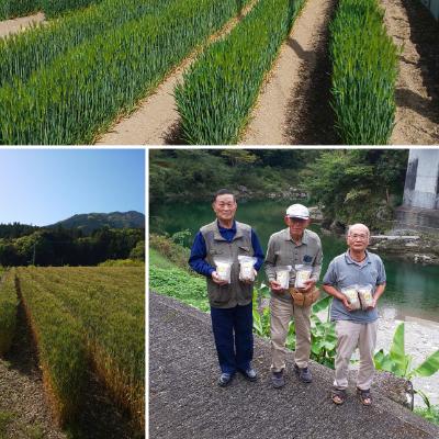 ふるさと納税 久万高原町 清流と綺麗な土が育て、イナキ干しで仕上げた美味しいもち麦