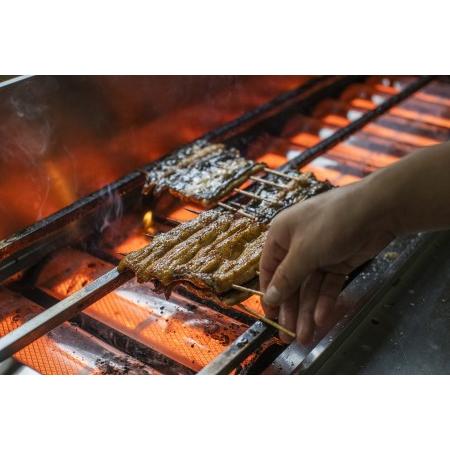 ふるさと納税 国産うなぎ  手焼き蒲焼 2尾(220g以上)セット 森のうなぎ A-AA-A03A 岡山県西粟倉村