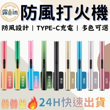 【加長款可彎曲】電弧點火器 多色任選 打火機 防風打火機 點火器usb 充電打火機 USB點火器 脈衝點火器 電弧