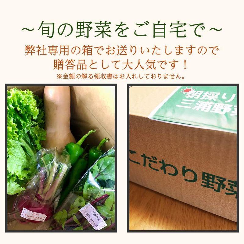 朝採り三浦野菜市場 三浦野菜 セット 5種前後 お取り寄せ大賞 金賞受賞 セット お取り寄せグルメ