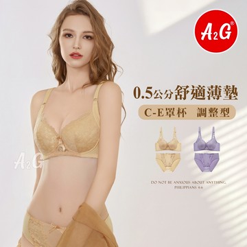 【A2G】隔日到貨【調整型內衣D罩杯、加大44碼】台灣出貨  高脅邊 側邊加高 雙色刺繡 薄杯襯墊 集中包覆 1383