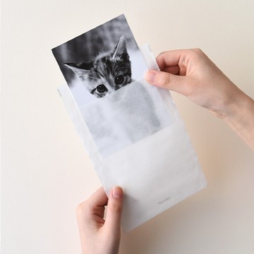 Monolike 紙袋 S  100個裝  半透明色