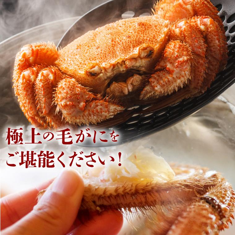 お歳暮 カニ ギフト 北海道産 毛ガニ 1尾 660g(ボイル済み)   御歳暮 毛蟹 毛がに 詰め合わせ 姿 蟹姿 茹で ボイル済み 冷凍