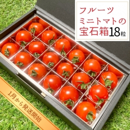 フルーツミニトマト の 宝石箱 18粒  野菜 トマト フルーツ ミニトマト フルーツ [BI342-NT]
