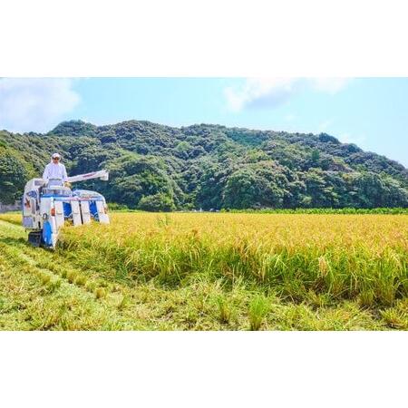 ふるさと納税 紀州のお米 熊野米 計10kg（5kg×2）    和歌山 田辺市 熊野 熊野米 ブランド米 米 ひかり新世紀 お米 コシヒカリ型品種 和.. 和歌山県田辺市