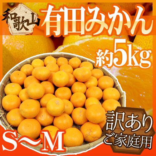 みかん 和歌山産 ”有田みかん” 訳あり S〜Mサイズ 約5kg ありだみかん 送料無料