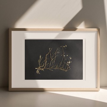 橫向乾燥野花植物簡約黑色原創藝術品牆面裝飾