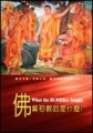 佛當初教的是什麼[二手書_良好]