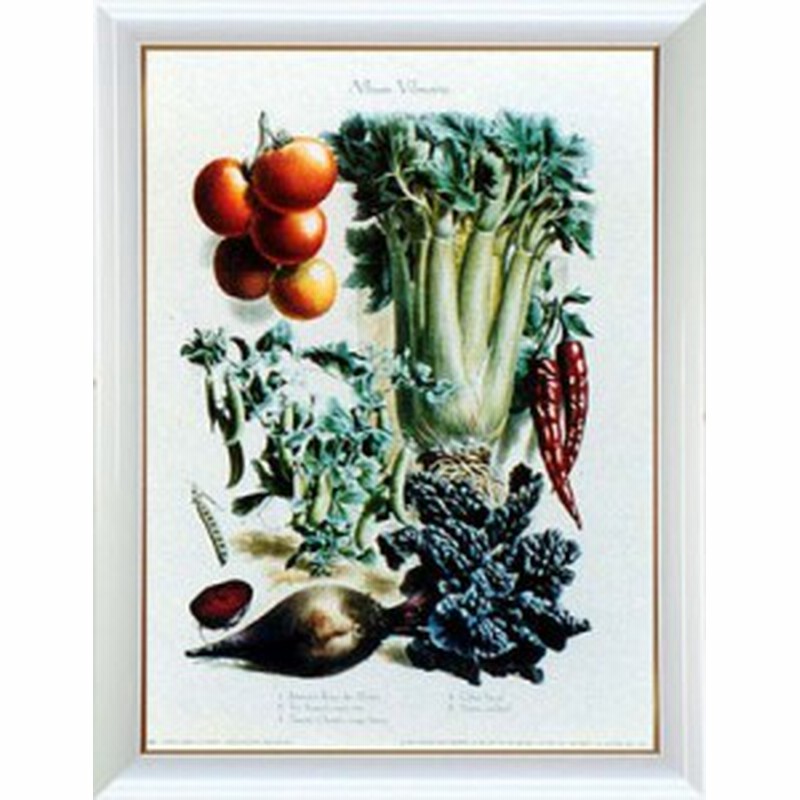 アートポスター トマト チリペッパー アンド セロリ A ヴィルモリン作 ポスターフレーム 画家名別アートポスター ア行 A ヴィルモ 通販 Lineポイント最大1 0 Get Lineショッピング